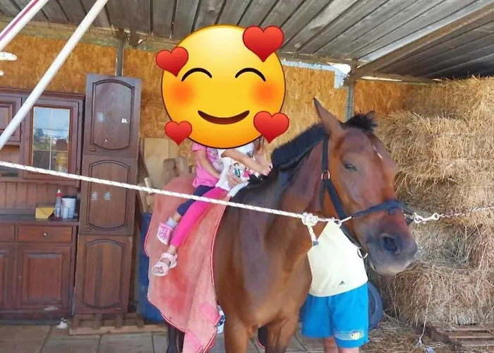 Aurora In Con Piscina *